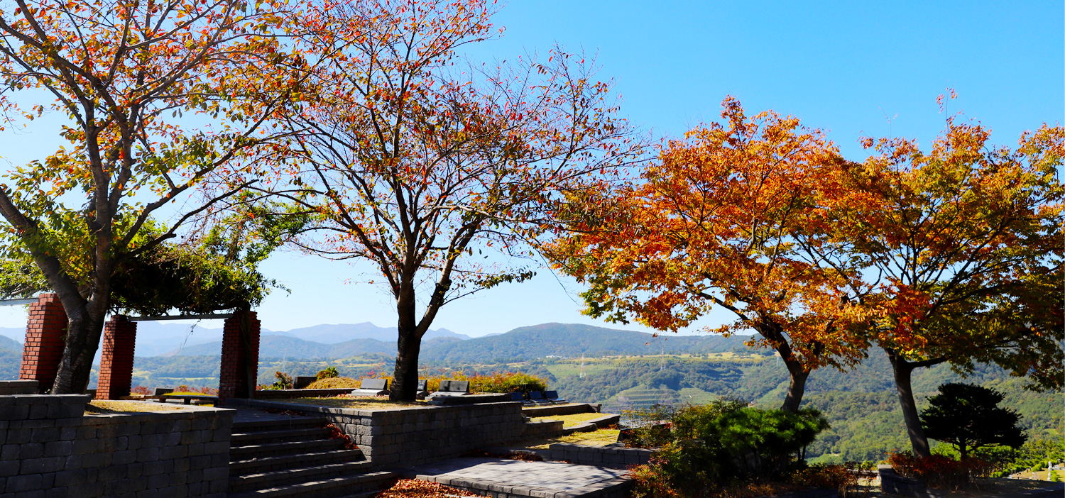 fall_b02.jpg?ver=221025