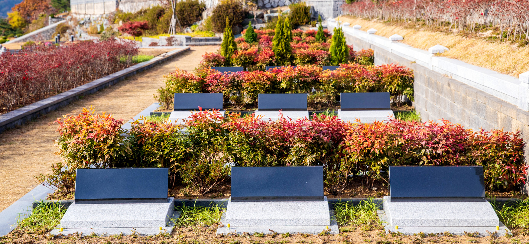gall_garden_pjm06.jpg