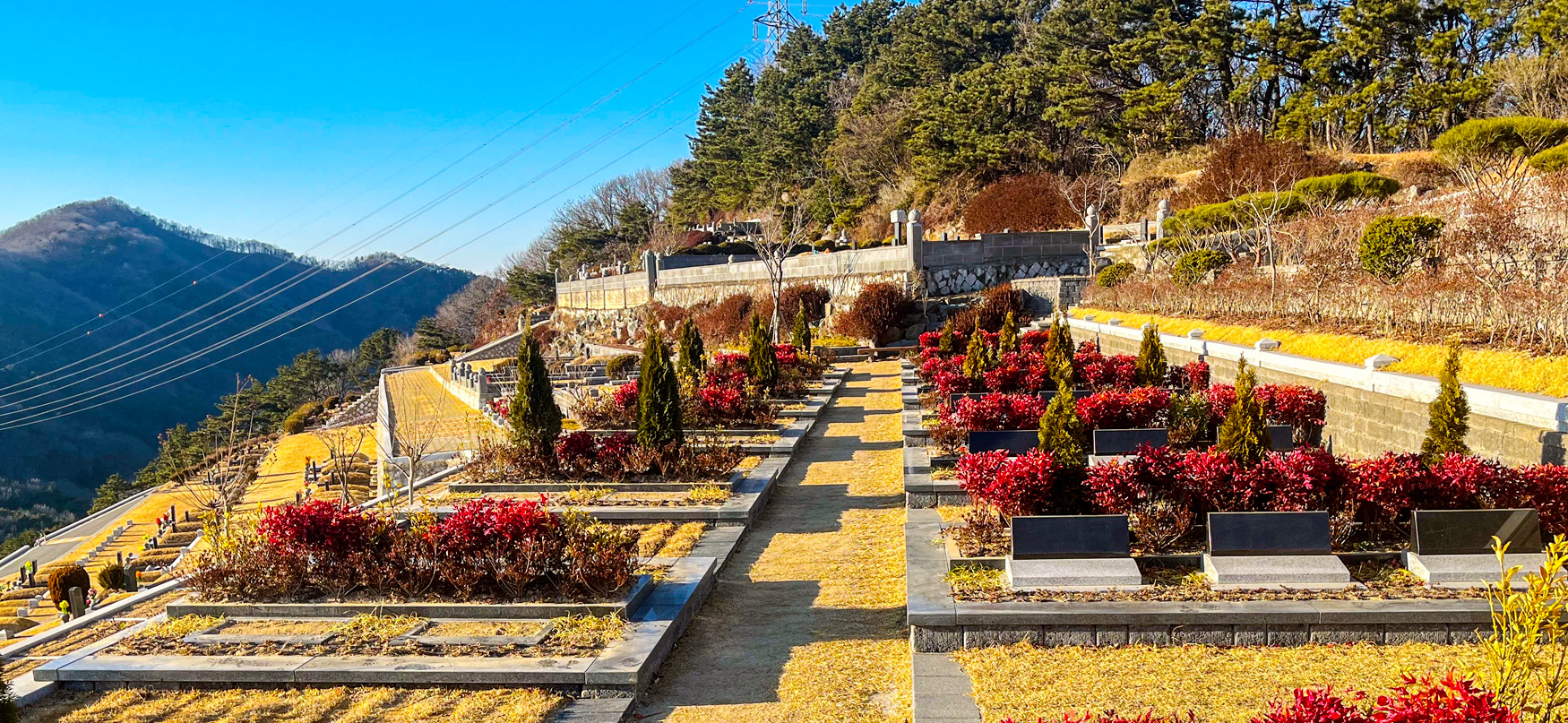gall_garden_pjm10.jpg