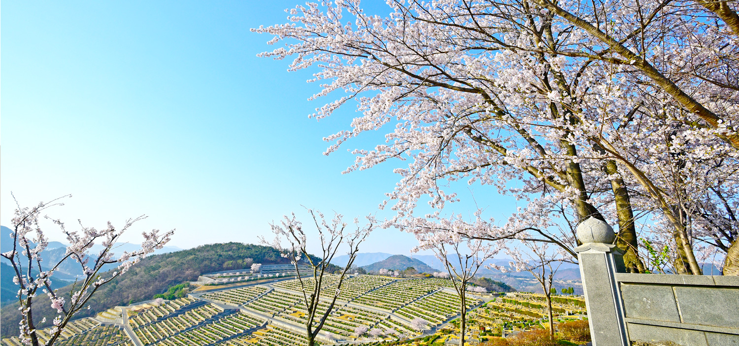 spring_b01.jpg?ver=230421