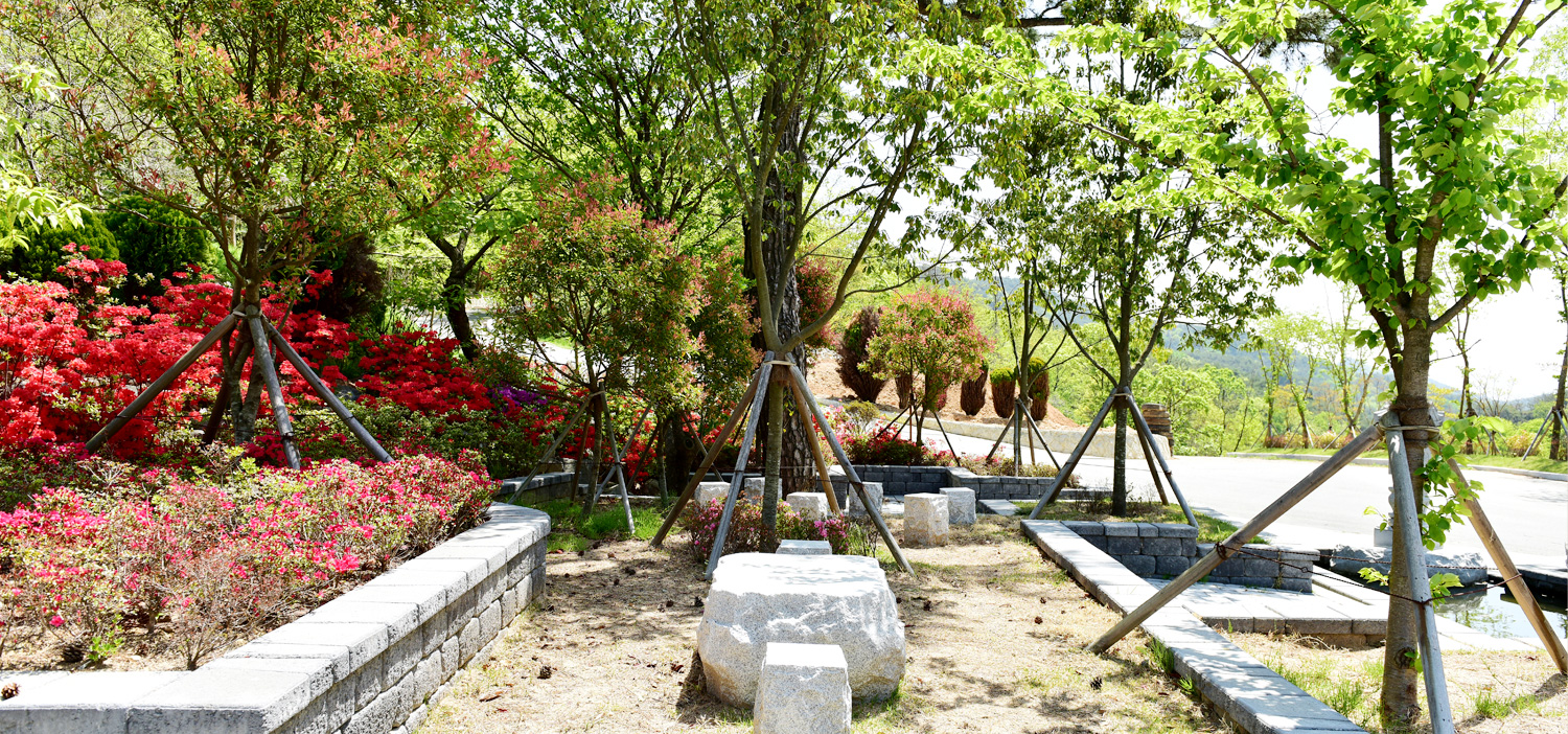 spring_b04.jpg?ver=221025