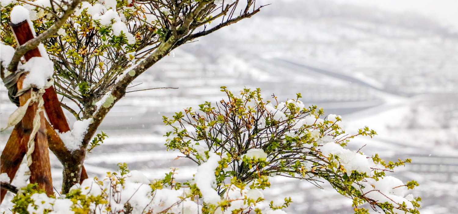 winter_b01.jpg?ver=221025