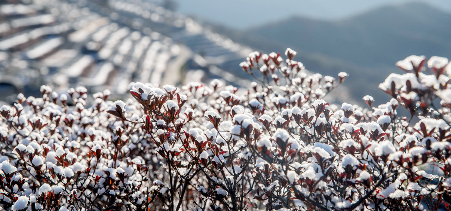 winter_b02.jpg?ver=221017