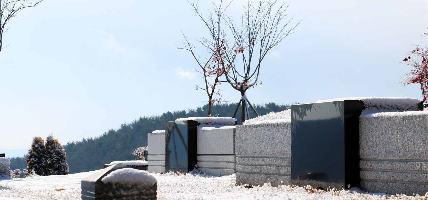 winter_b03.jpg?ver=221025