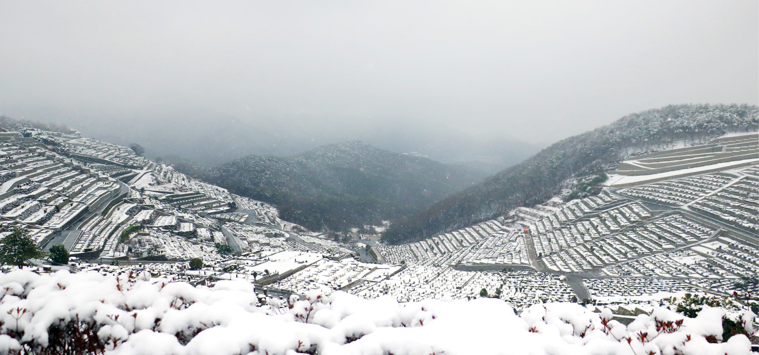 winter_b04.jpg?ver=221025