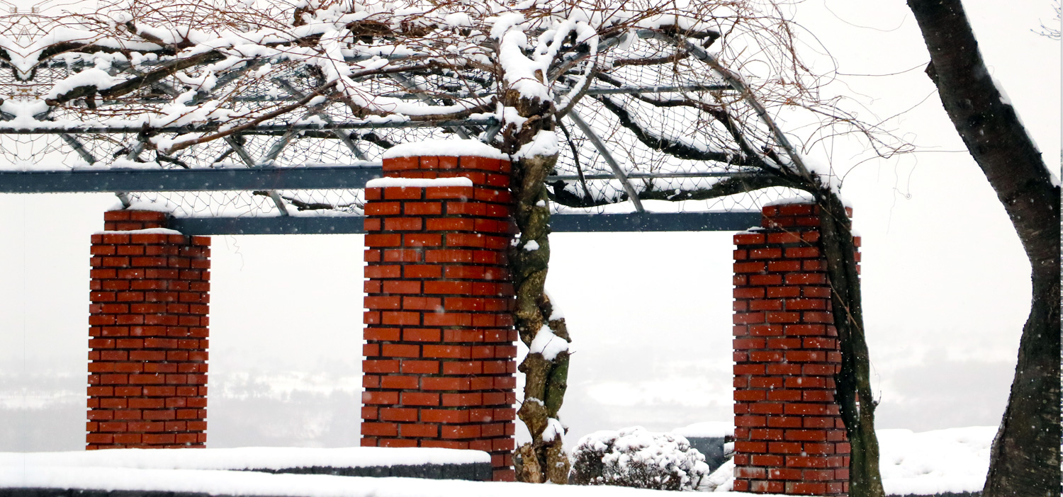winter_b05.jpg?ver=221025